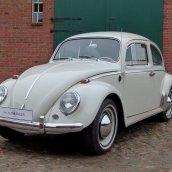 VW Käfer 1200 1964
